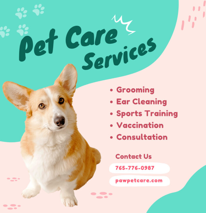 pet care